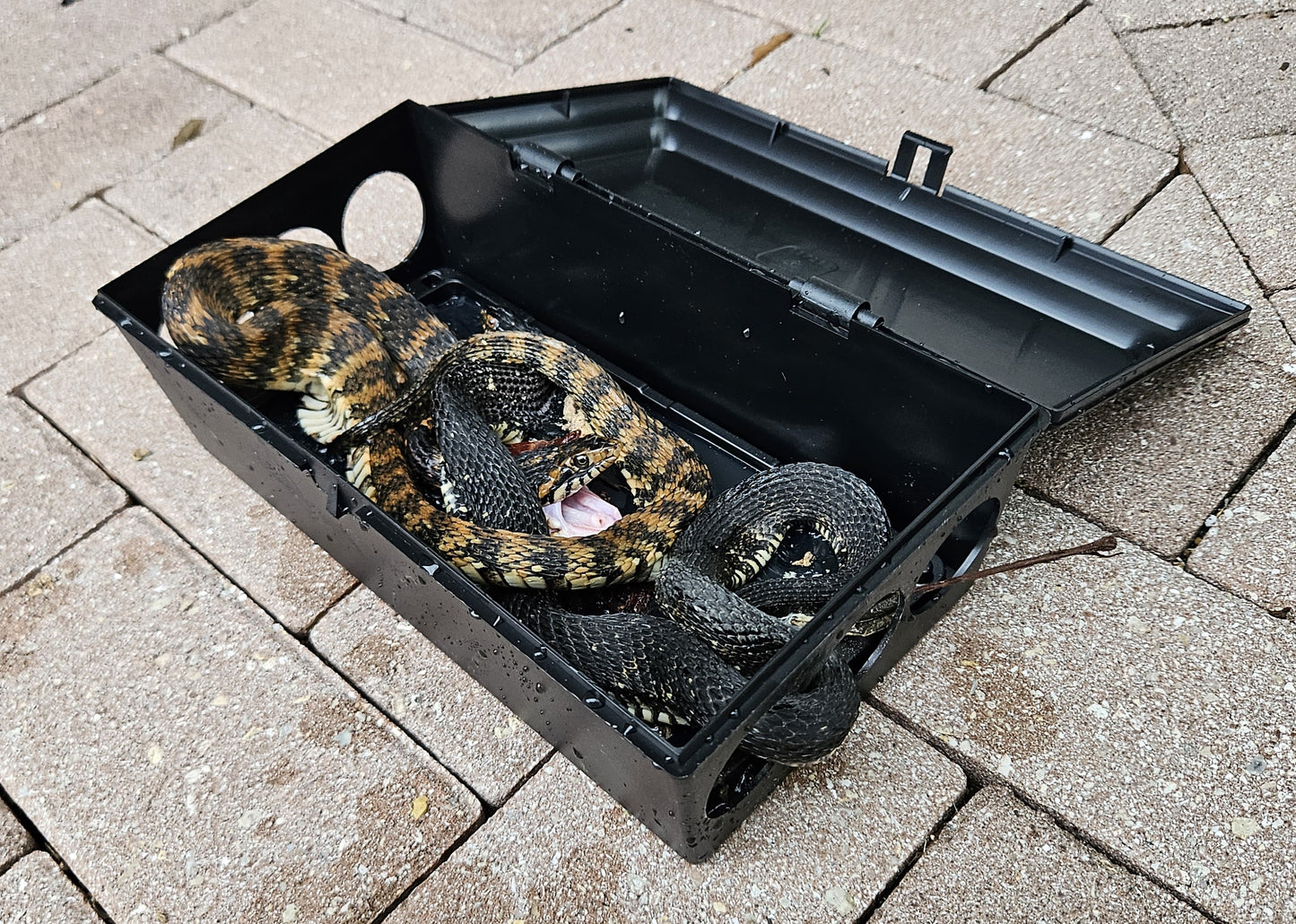 CritterMaster Pro